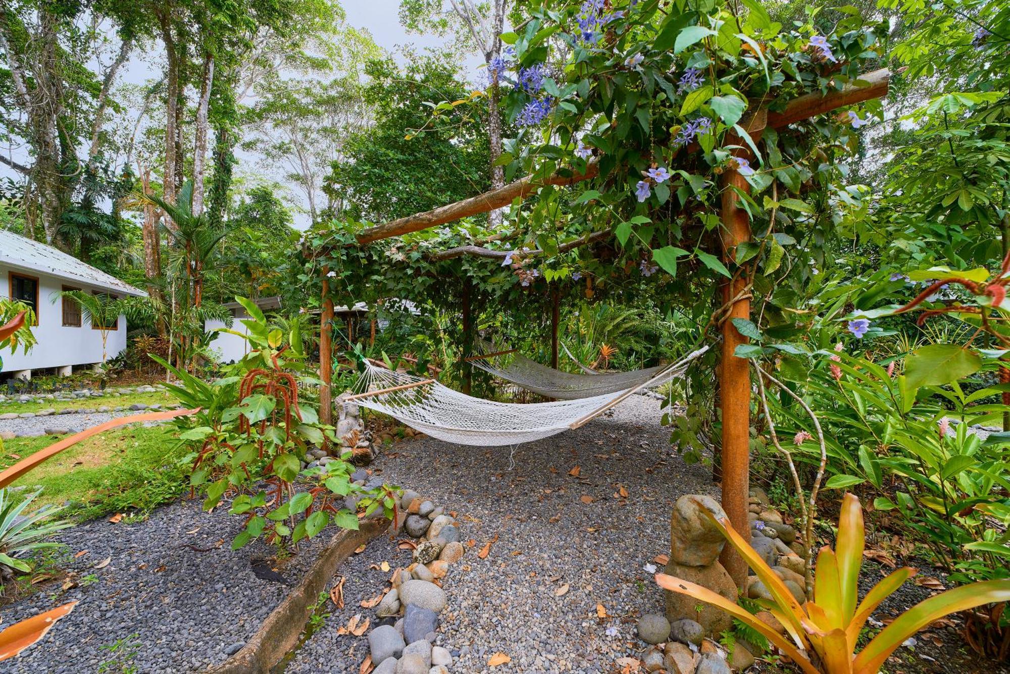 Dragonfly Beachfront Villas-Adult Only ปุนตาอูวา ภายนอก รูปภาพ